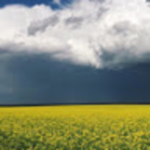 Meet your Posher, Jessica - Picture 1 of 1